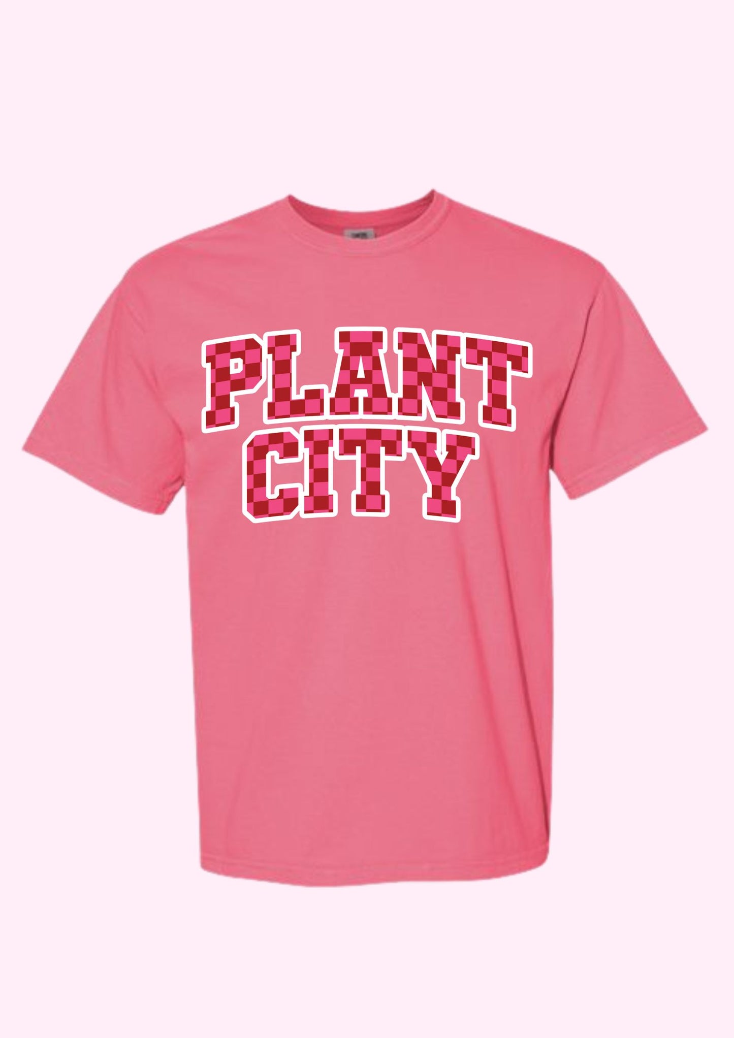 Plant City Checkered Tee