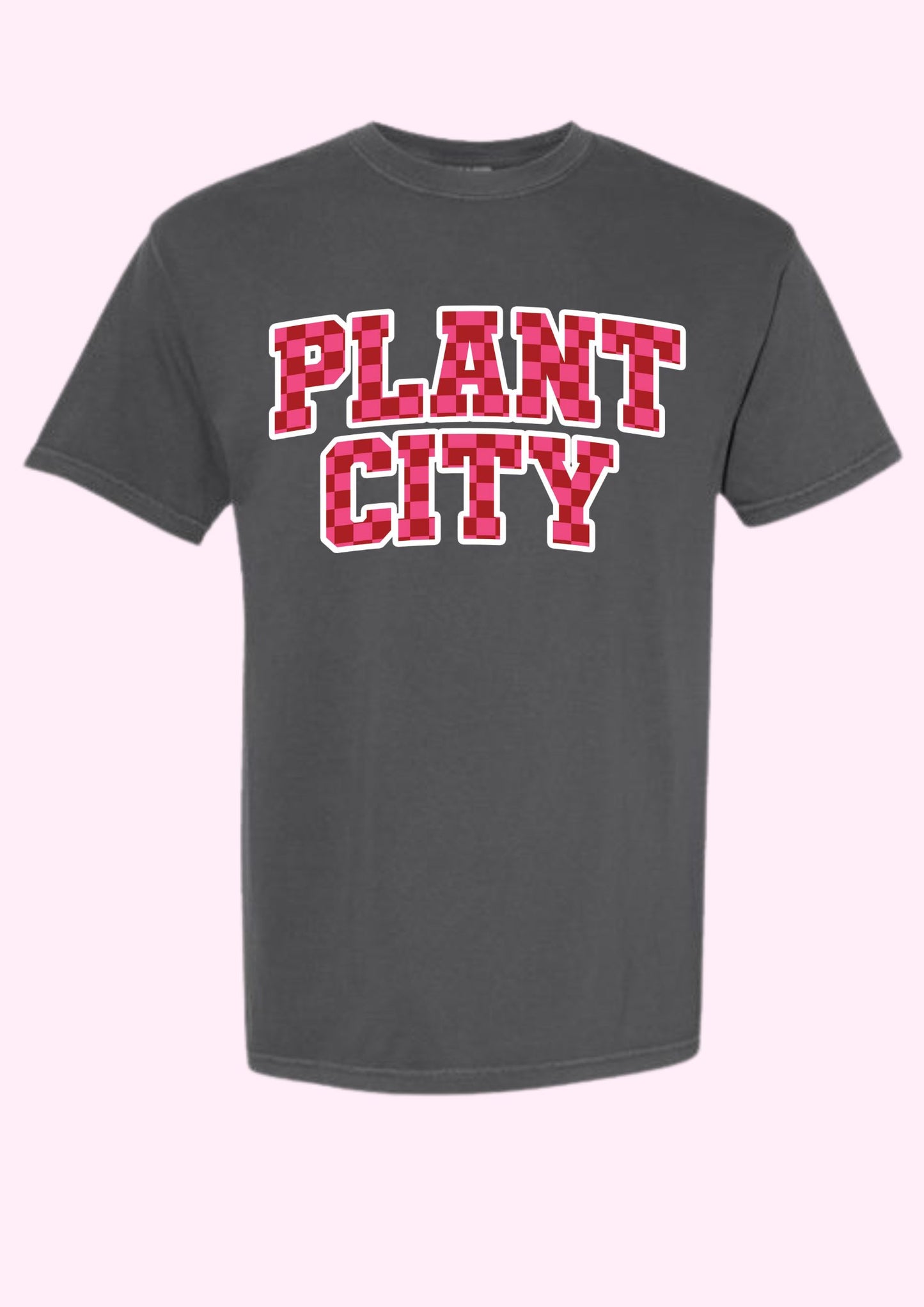 Plant City Checkered Tee