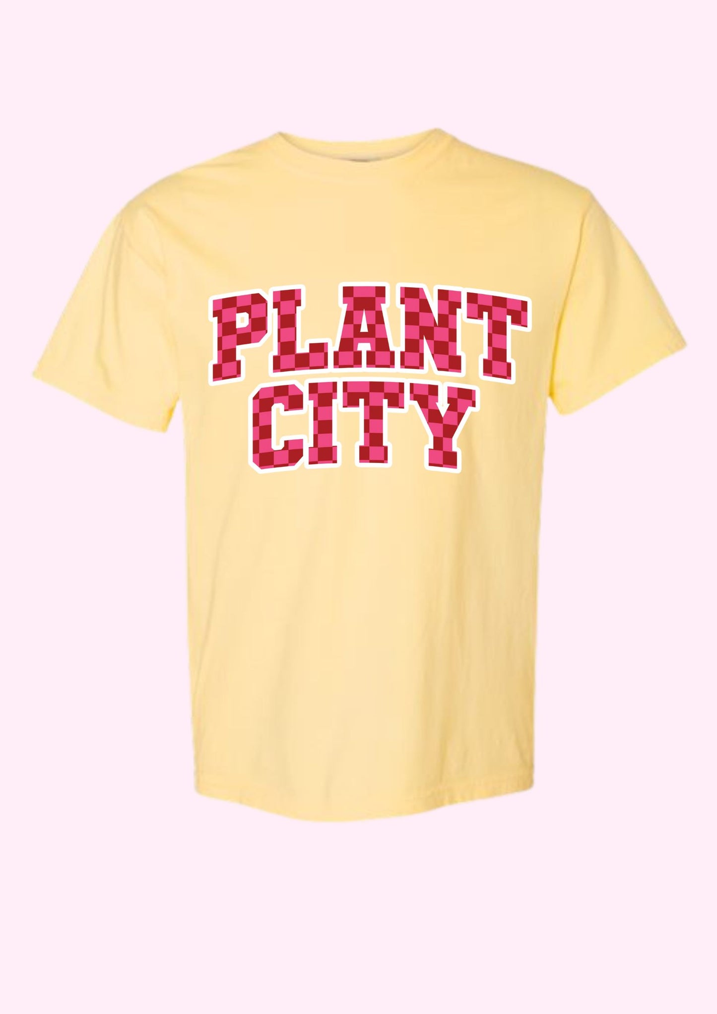 Plant City Checkered Tee