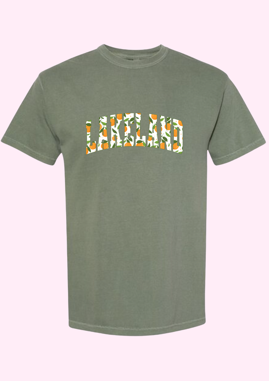 Lakeland Oranges Print